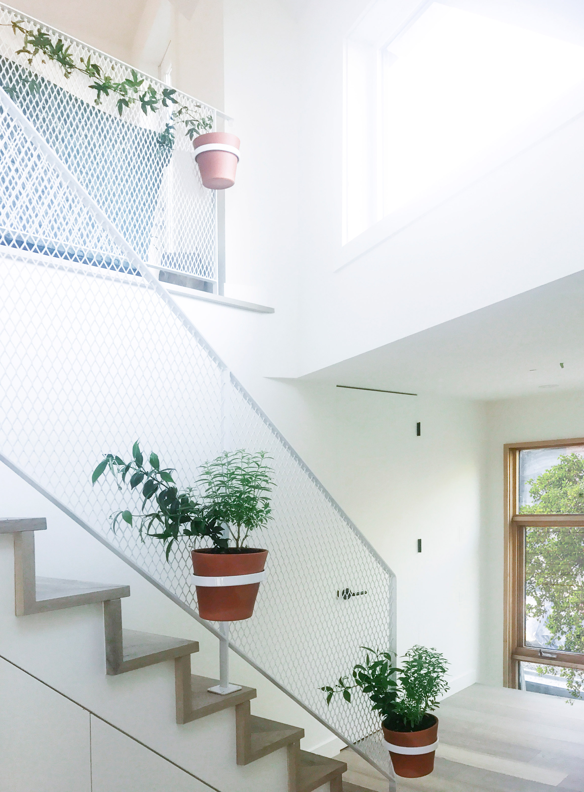Dog nook and fireman's pole feature in laneway house by Studio North-21