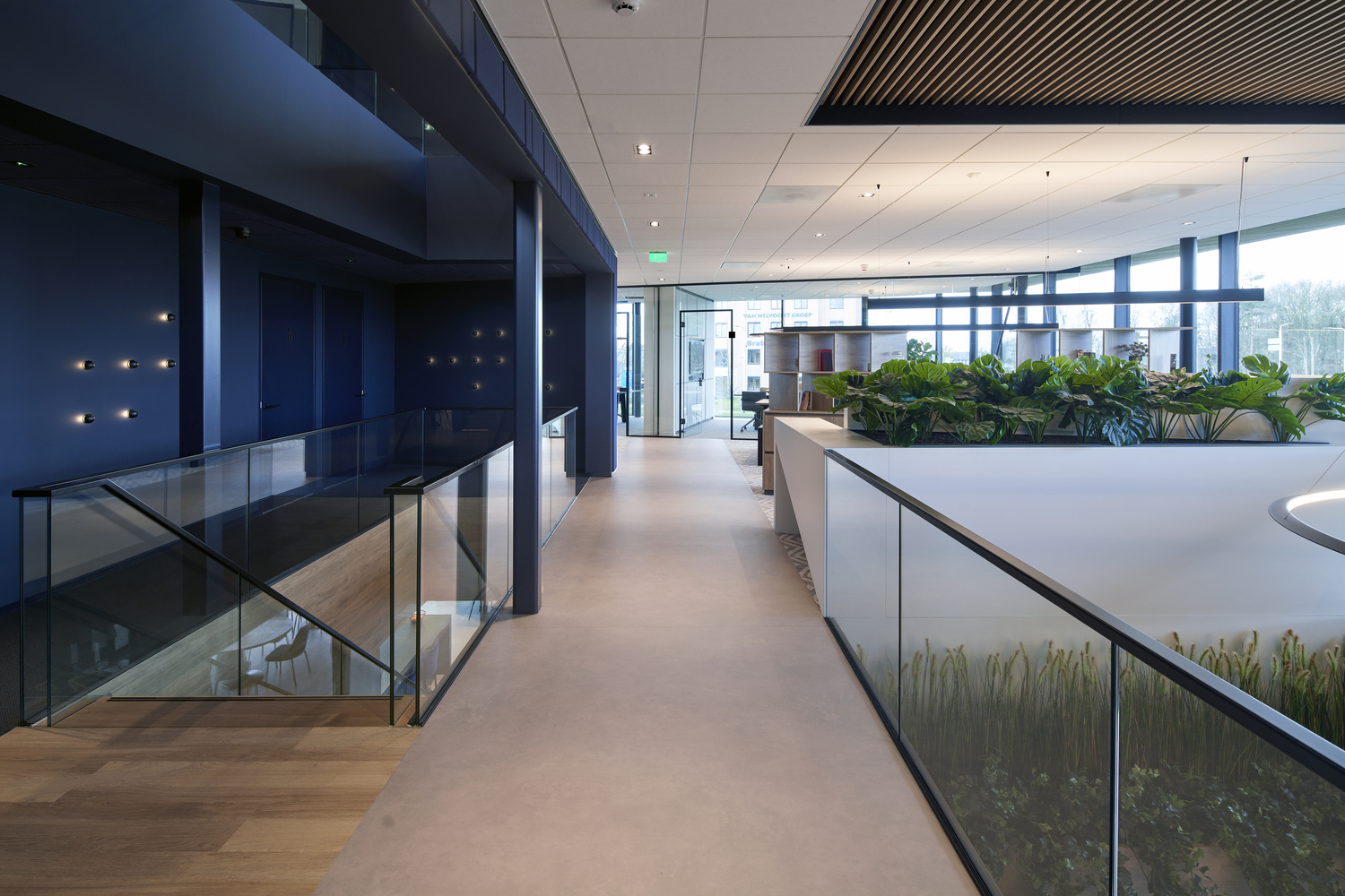 荷兰 VDG 总部大楼,绿色环境中的现代办公空间-20