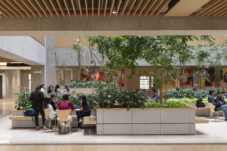 DY Patil 大学卓越中心丨印度丨福斯特事务所-15