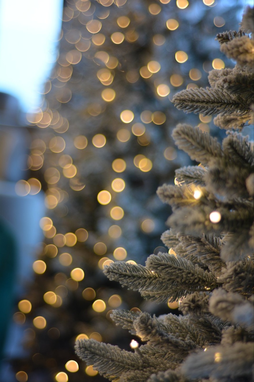 Redesign: Ταράτσα rooftoop cafe bar στη Φλώρινα | winter edition – πριν και μετά-18