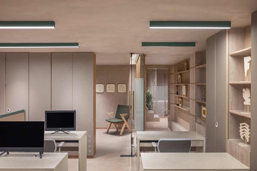 叶线2024年1月-16