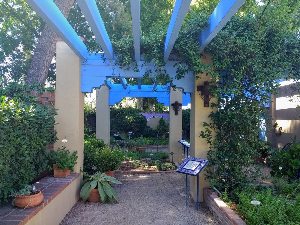 图森植物园（Tucson Botanical Garden）丨美国图森-19