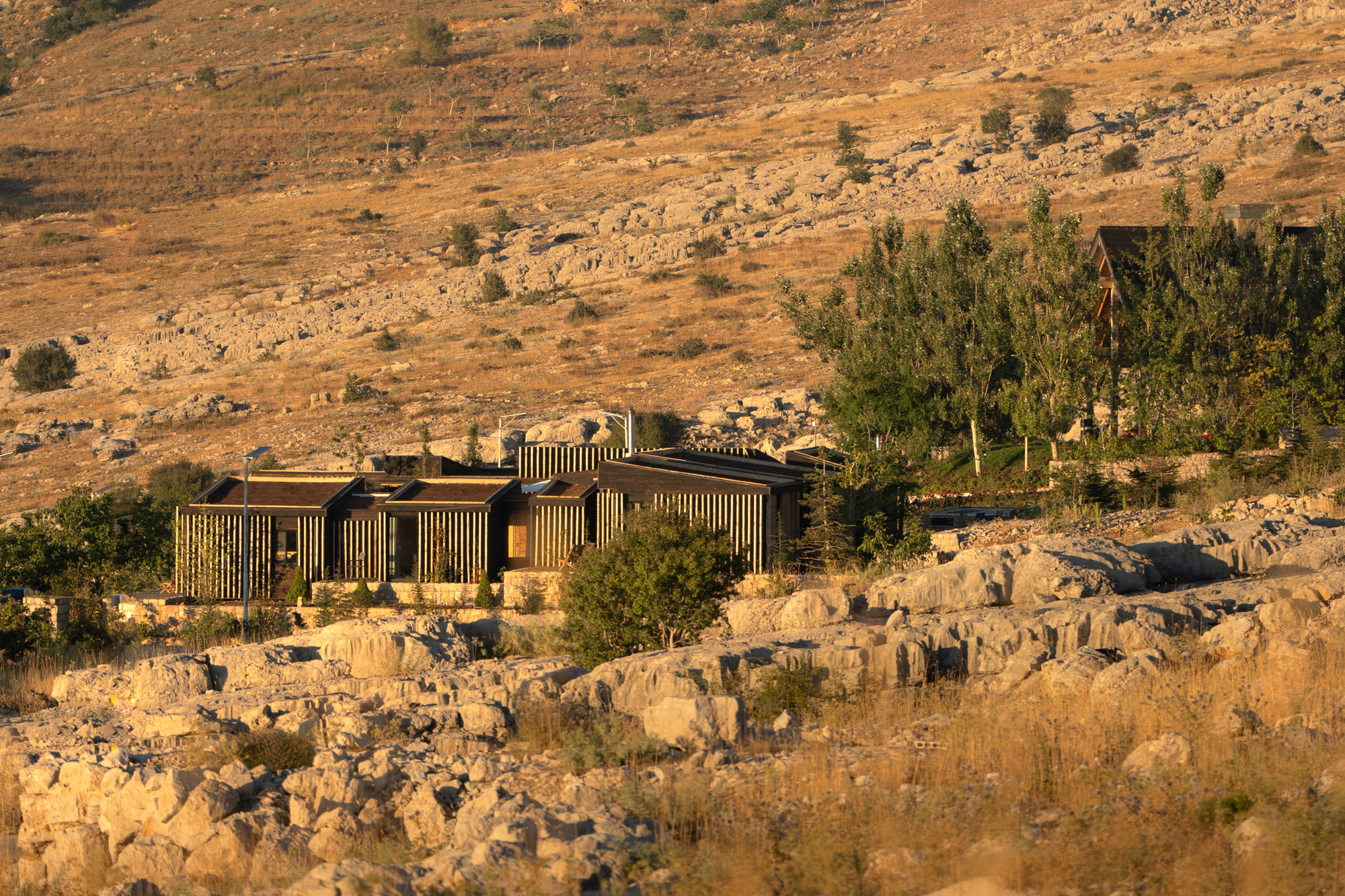 巴基什之家丨黎巴嫩丨AK Architecture Studio-31