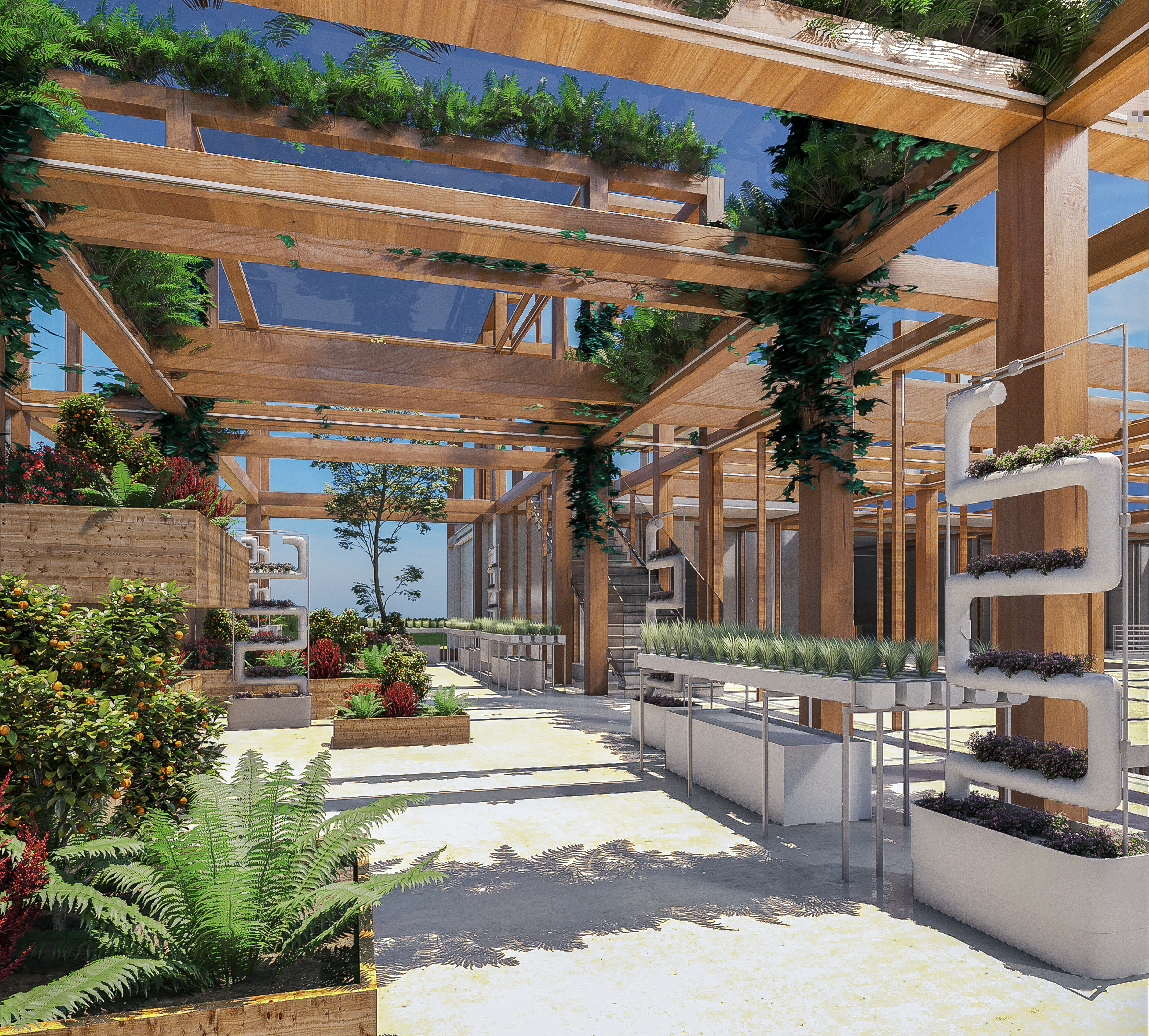 农业社区空间中心丨埃及亚历山大-19