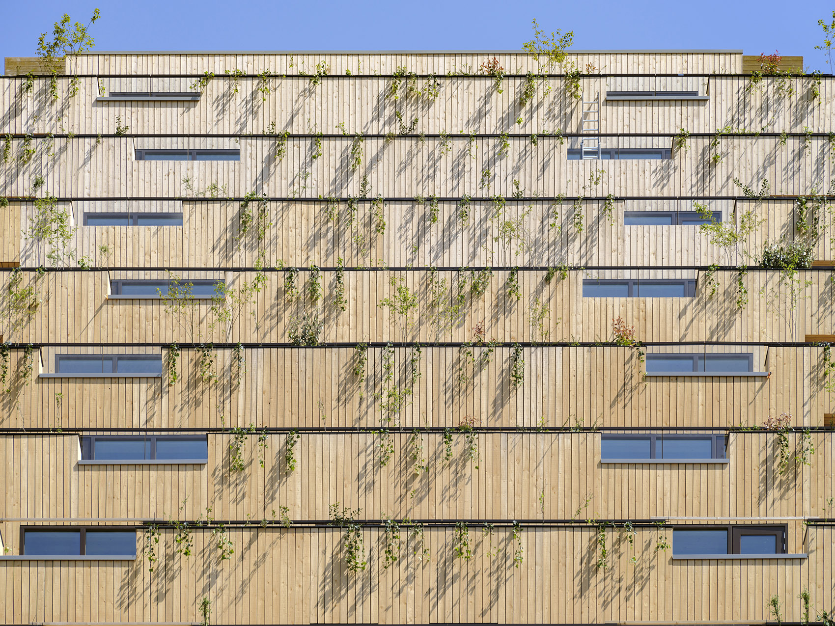 SAWA高层住宅丨荷兰鹿特丹丨Mei建筑与规划事务所-49