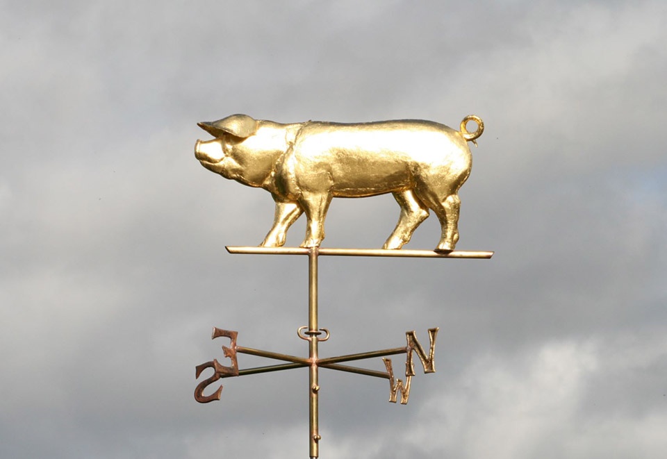 伦敦 Surrey Docks 城市农场建筑翻新,打造河畔“温室”教育空间-41