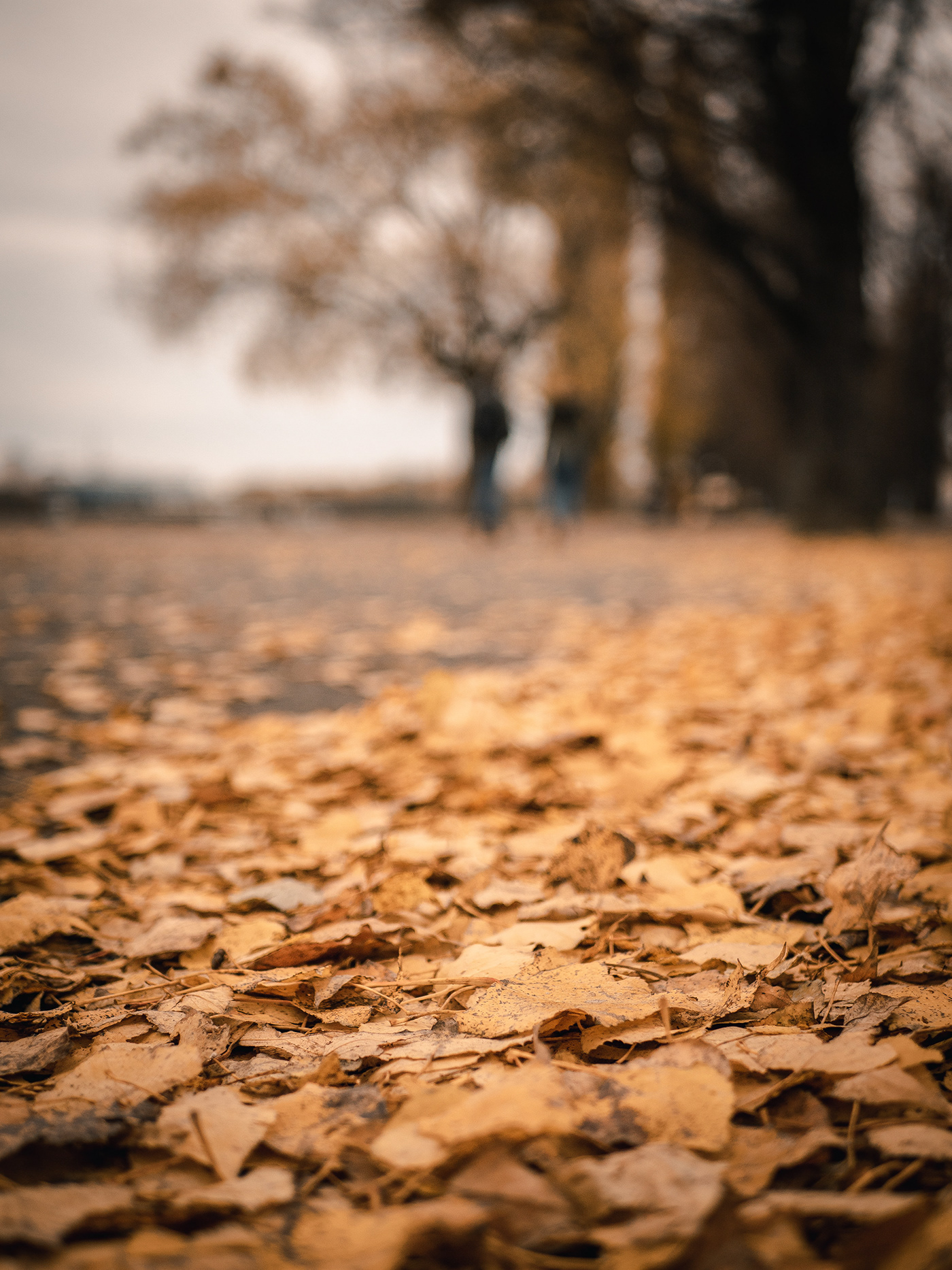 商业街区丨Autumn in Hannover丨德国-7