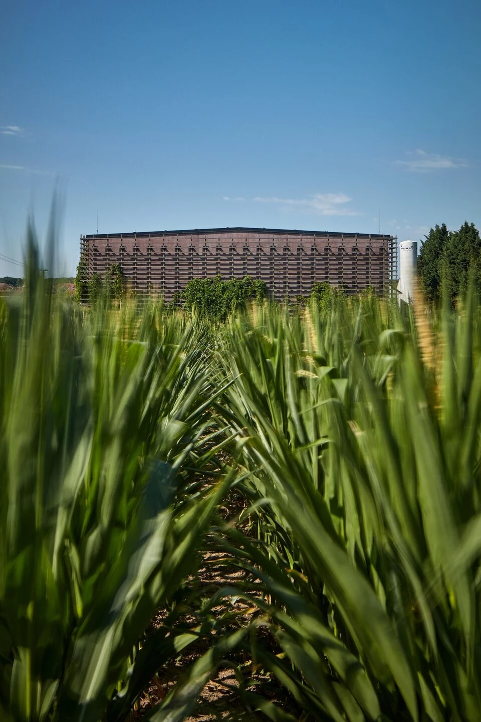 Kolby 酒庄丨捷克丨ORA（Original Regional Architecture）-47