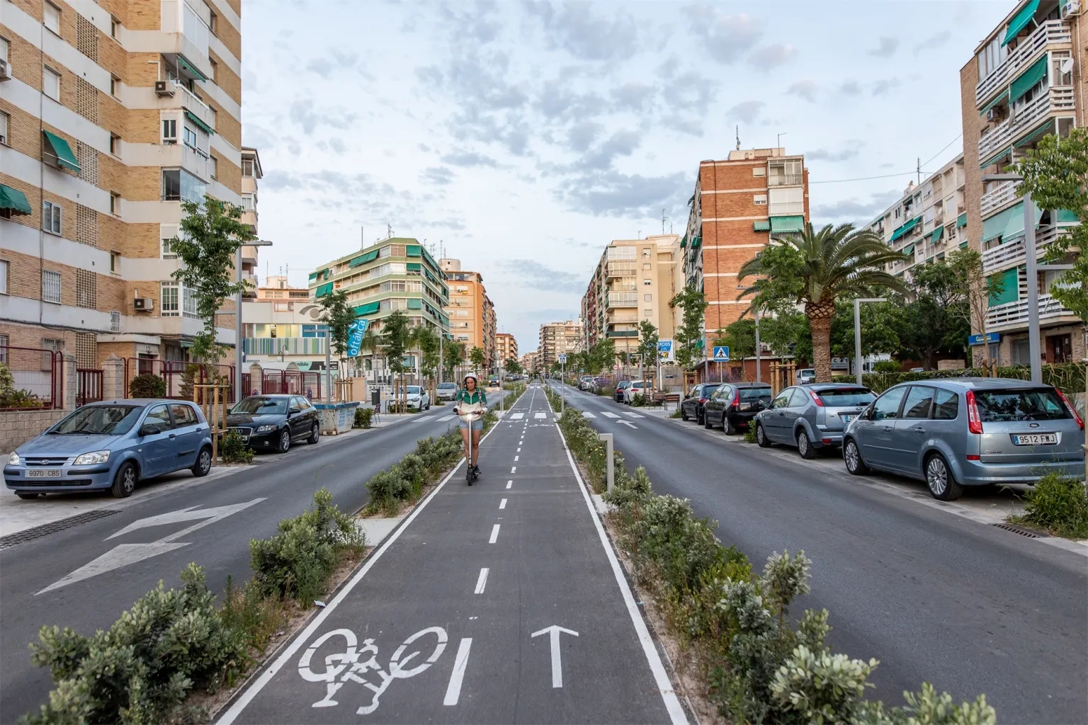 西班牙阿里坎特 Padre Esplá 大道景观-35