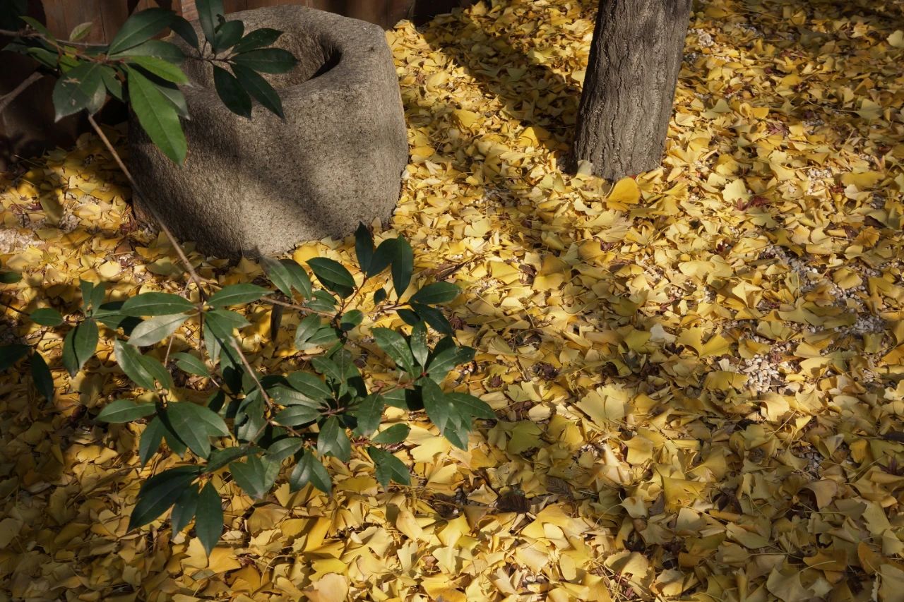 萧氏设计办公楼丨中国上海丨萧爱彬设计-27