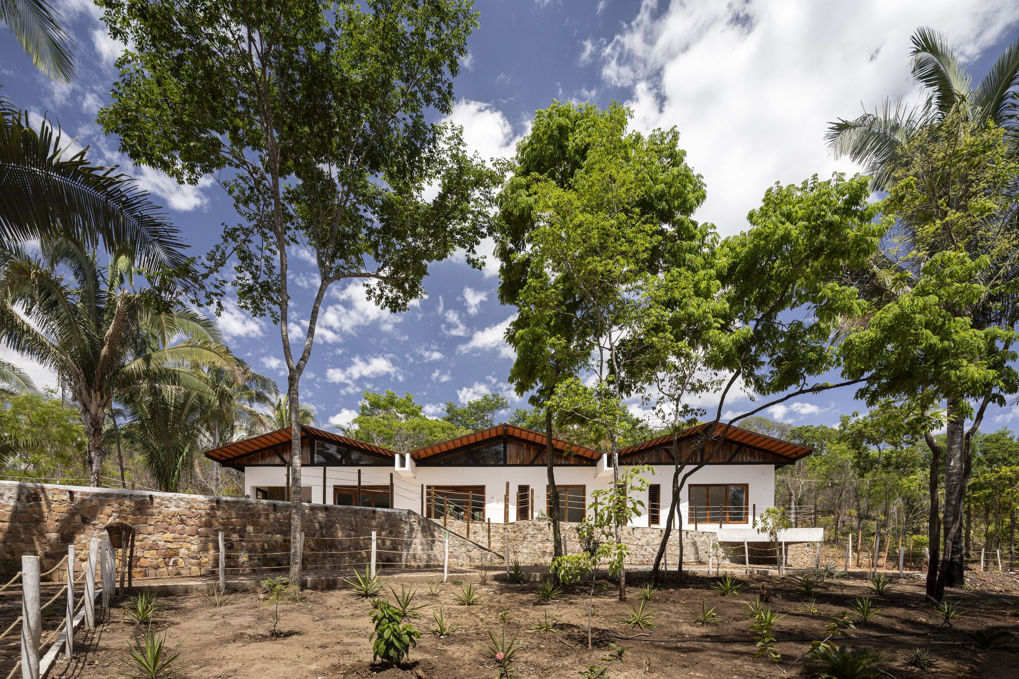 丨巴西塞阿拉丨Lins Arquitetos Associados-13