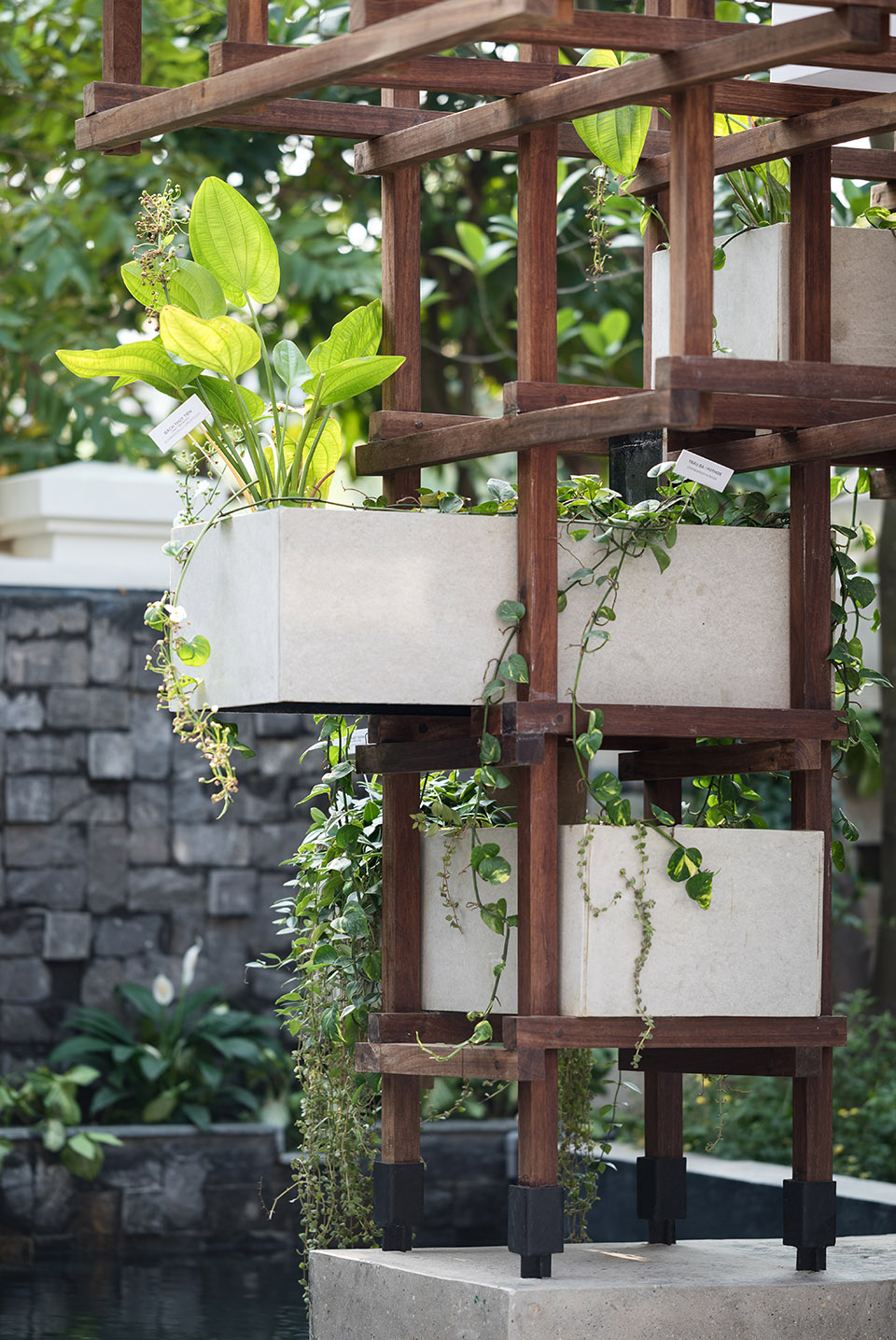 VAC城市生态模型，越南 / Farming Architects -50