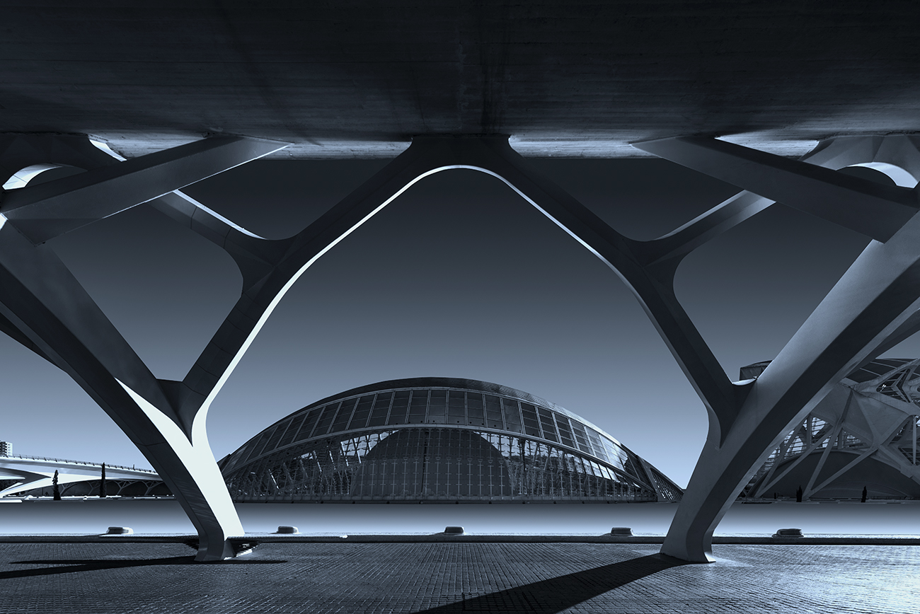 艺术与科学城丨Santiago Calatrava-0