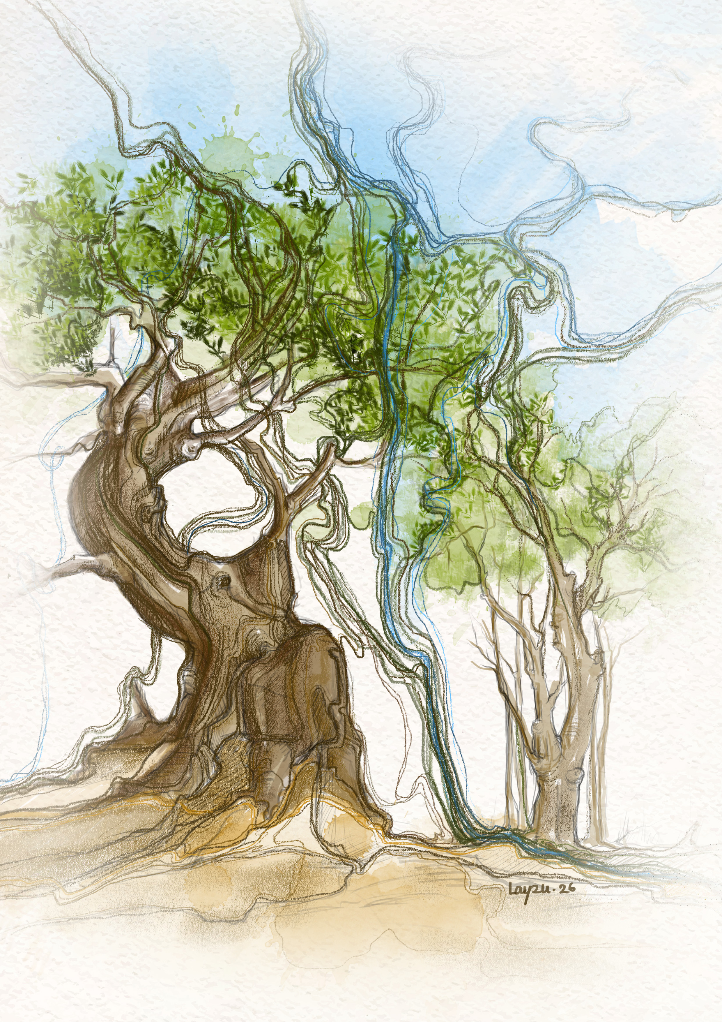 世界上的树木丨Sylvie D.-155