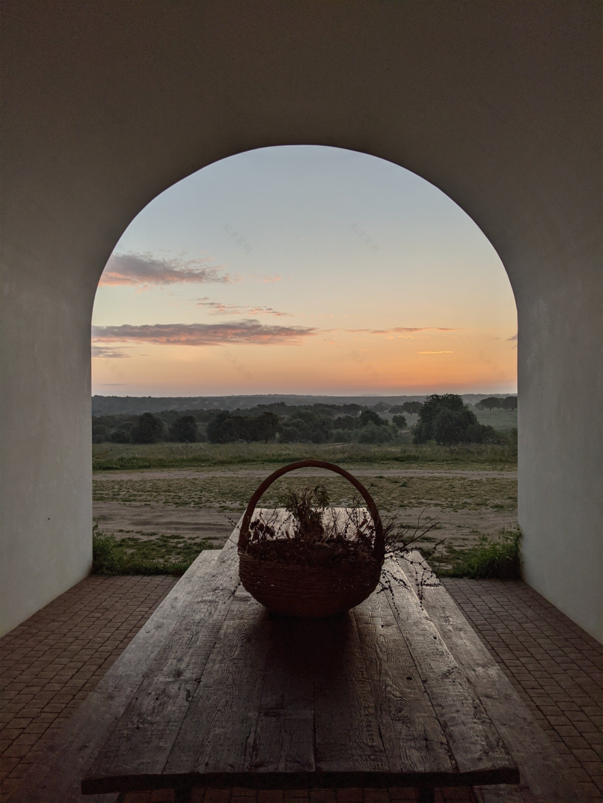 森屋丨澳大利亚墨尔本丨Aires Mateus 建筑事务所-31