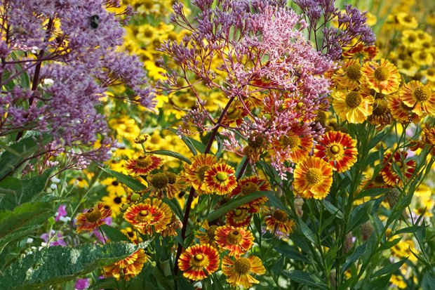 德普莱纳的小菜园丨德国柏林丨Büro Christian Meyer-8