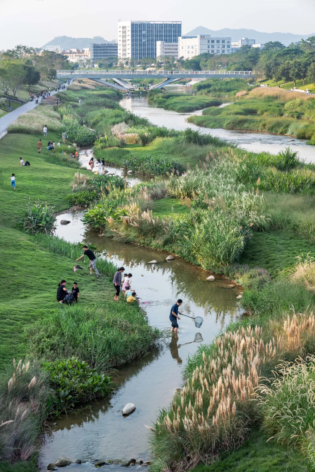 茅洲河碧道·光明段生态修复试点-14