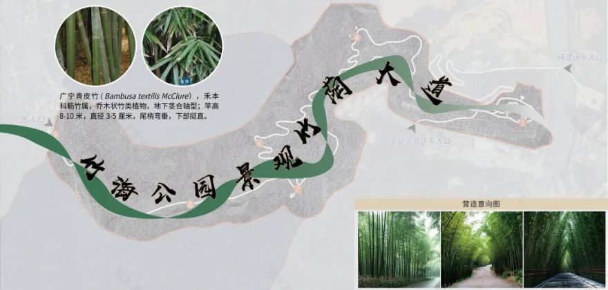 广宁竹海公园|构建绿美竹韵之路-25