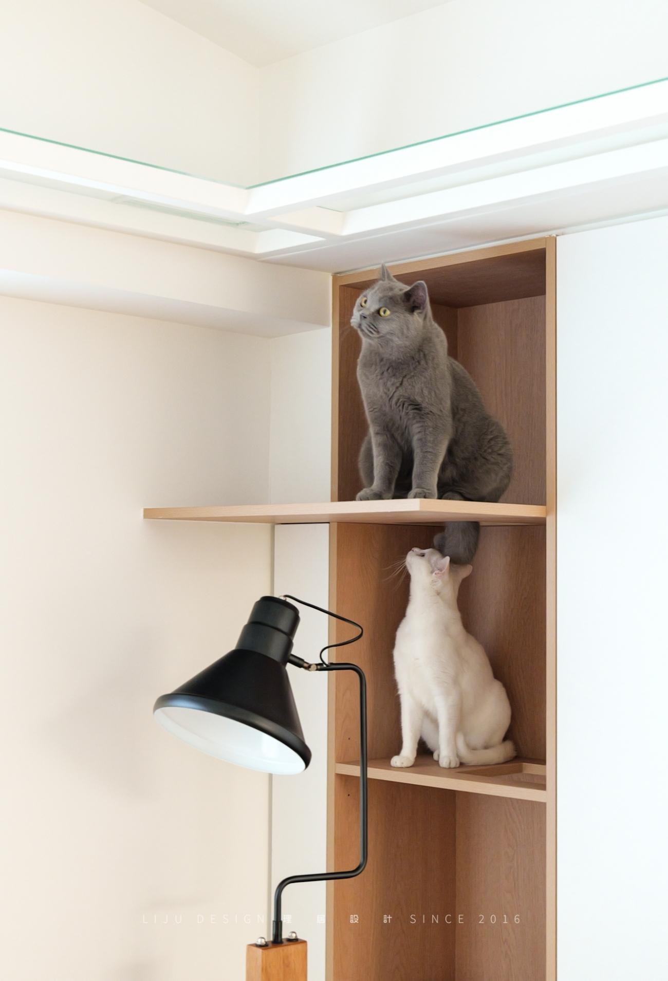 63㎡老房爆改流浪猫之家丨中国厦门丨理居设计-43
