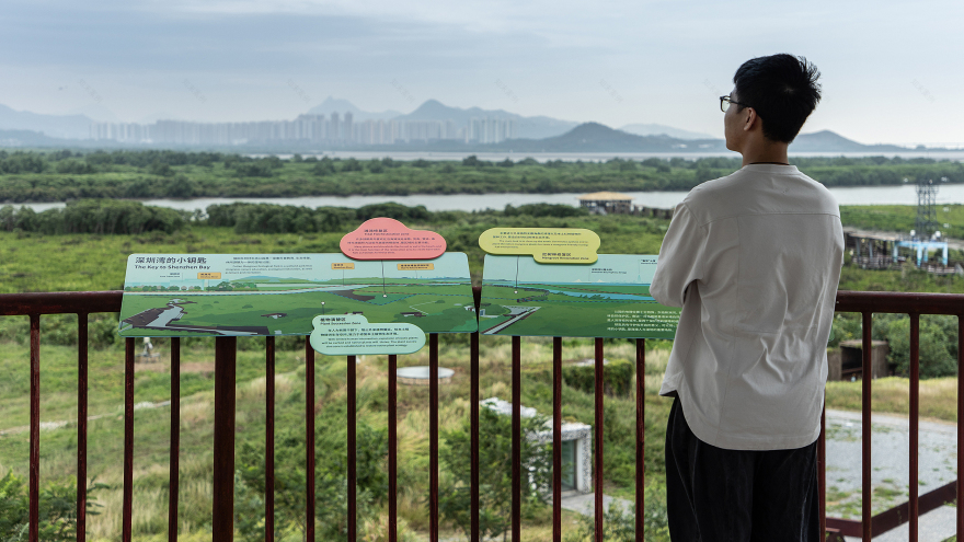 深圳红树林生态公园户外科普互动导视设计丨中国深圳丨共生领域(北京)文化传媒有限公司-26