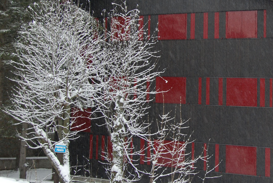 意大利"红窗"公寓,独特木构造室内空间-16