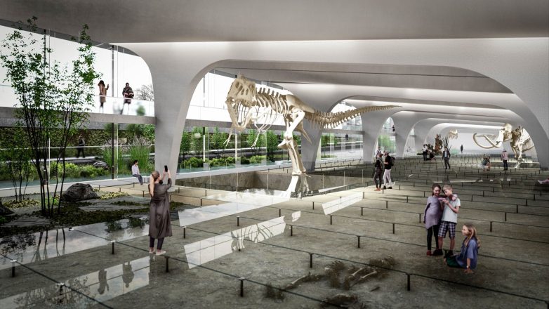 贝尔格莱德自然历史博物馆新馆建设丨MitArh建筑工作室-53