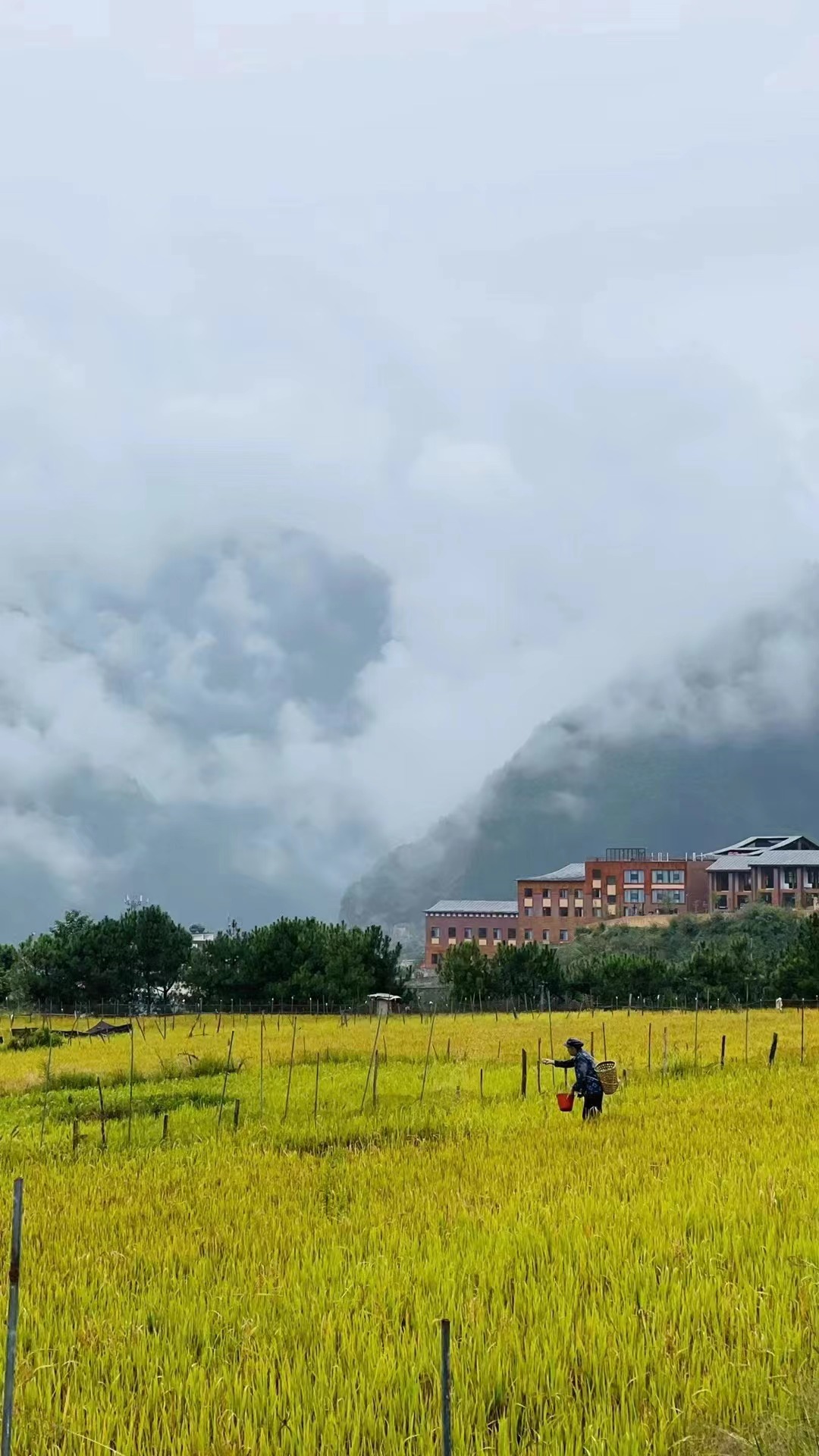 丁大妈的家丨中国云南丨无设建筑-6