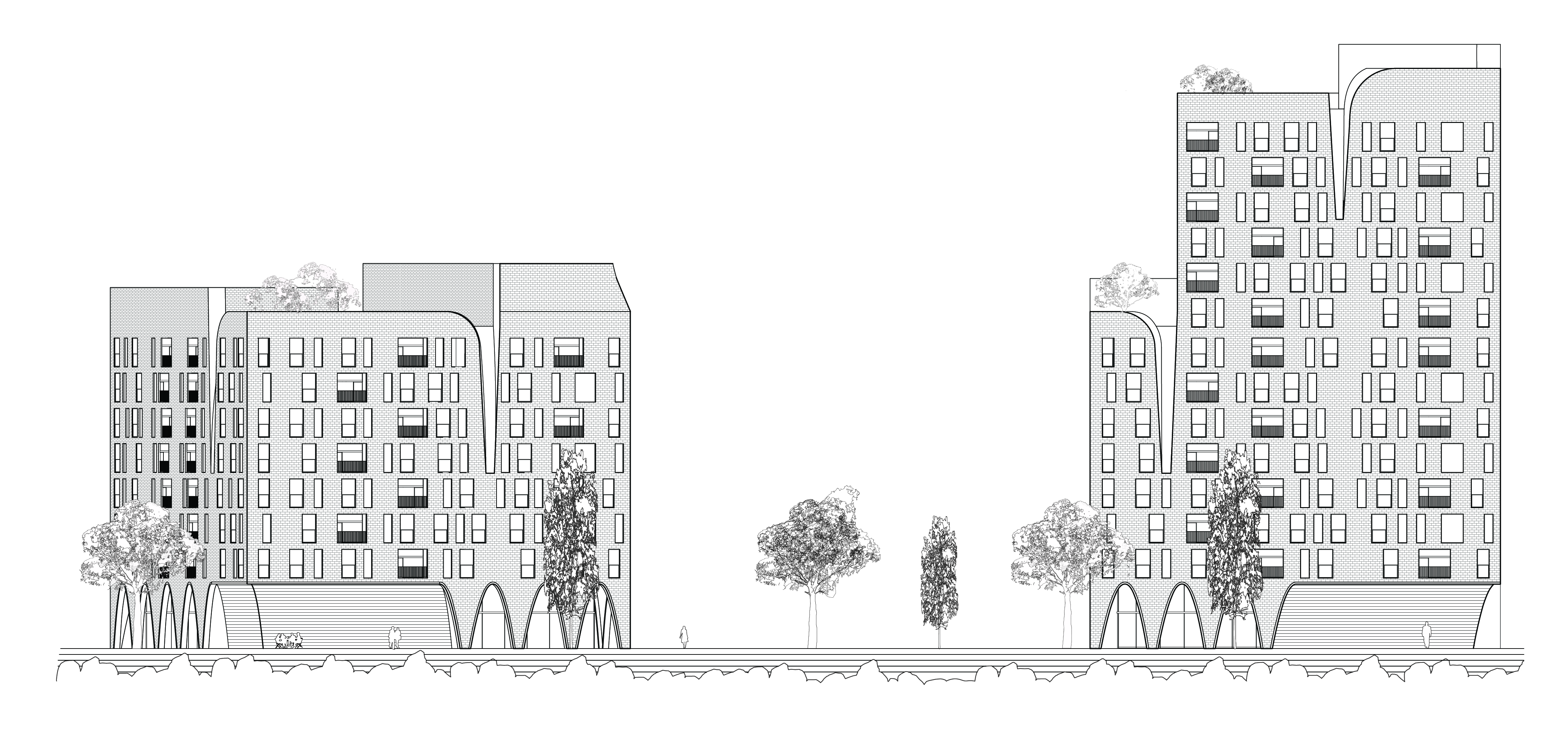 丨新西兰奥克兰-9