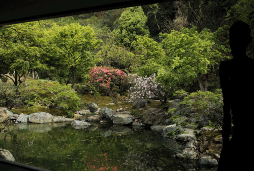 杭州自然美景工作室丨中国杭州丨余伟增,柴荣-11