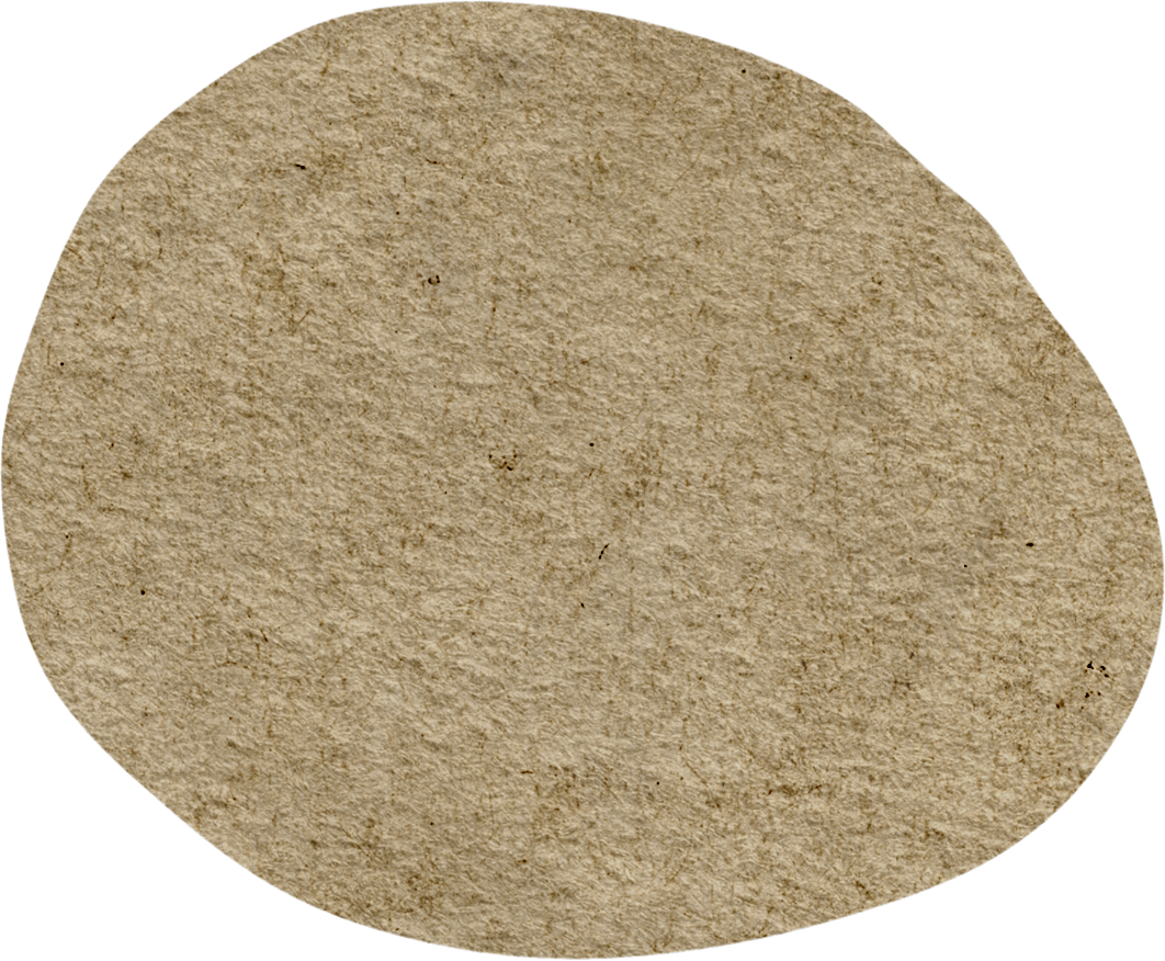 域外瞭望：沙特首家 丽思卡尔顿隐世酒店，藏于红海秘境-11