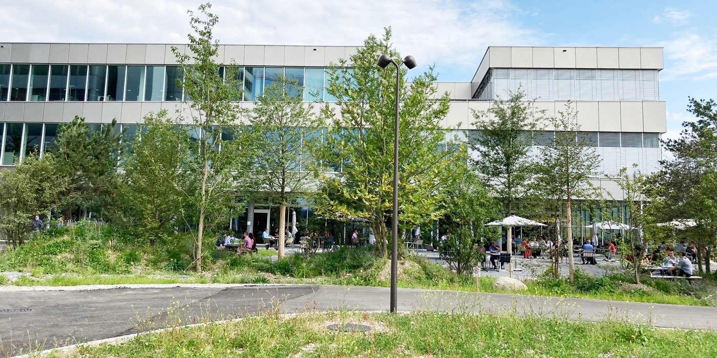 瑞士 DSM 创新校园-18