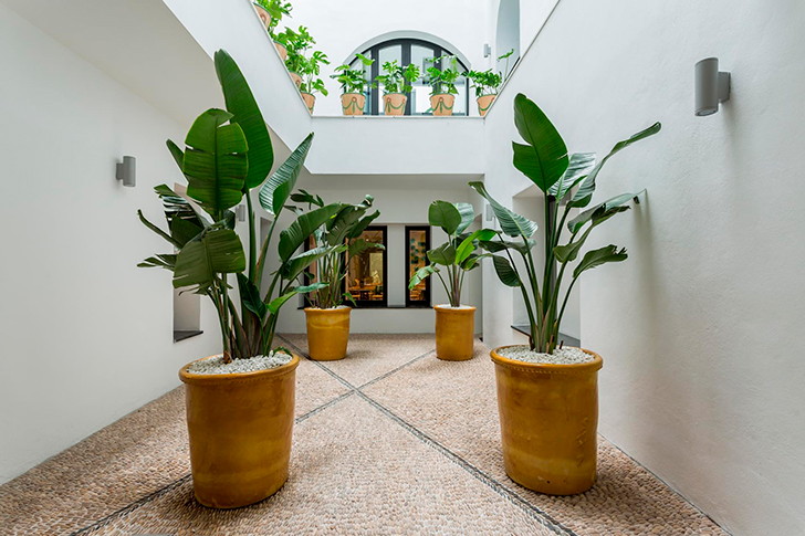 西班牙马德里 Room Mate Valeria 酒店——热带风情的设计盛宴-25