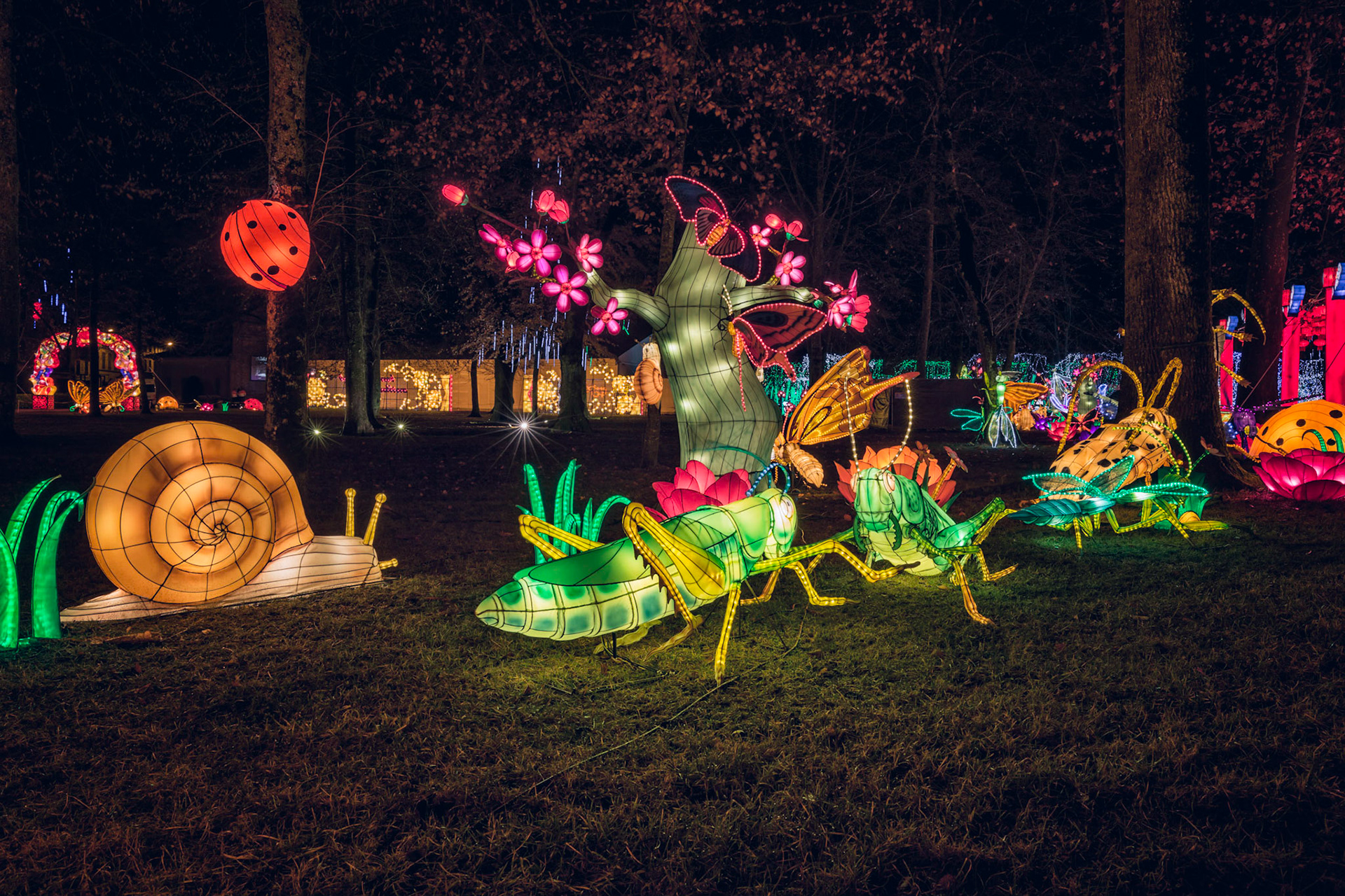 Festival Lanterne Gaillac 2017-3