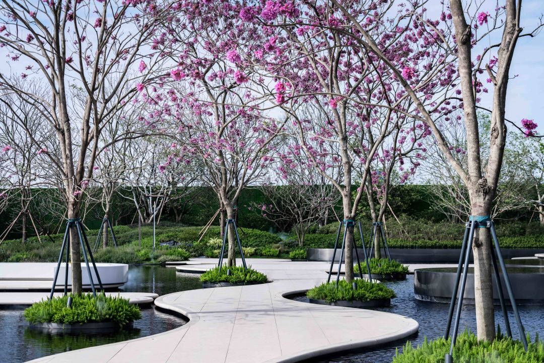 海上钢琴诗丨中国铁建&南沙开建集团 · 西派澜岸-65