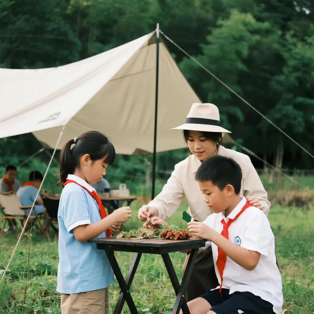 华中城郊秘境康养疗愈营地：中草药种植疗愈综合体规划设计建造运营-20