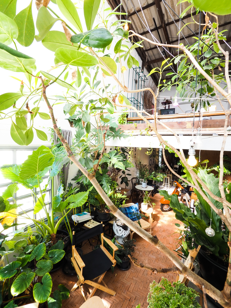 复古与自然共融的泰国 Too Can Cafe丨泰国曼谷丨SOAR（space oddity architect）-25