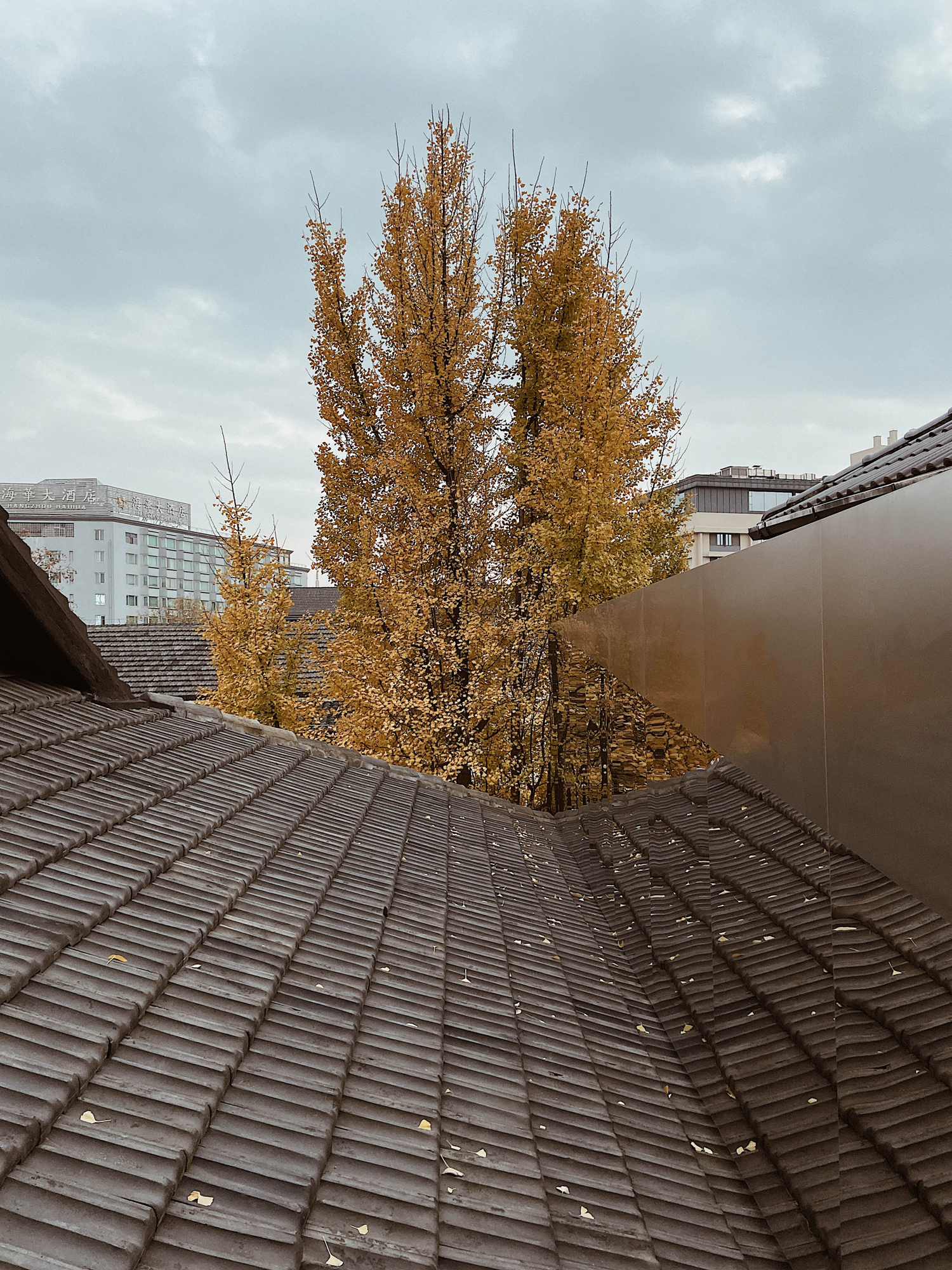 GUD 火锅“博物馆”丨中国杭州丨八荒建筑设计咨询（上海）有限公司-82