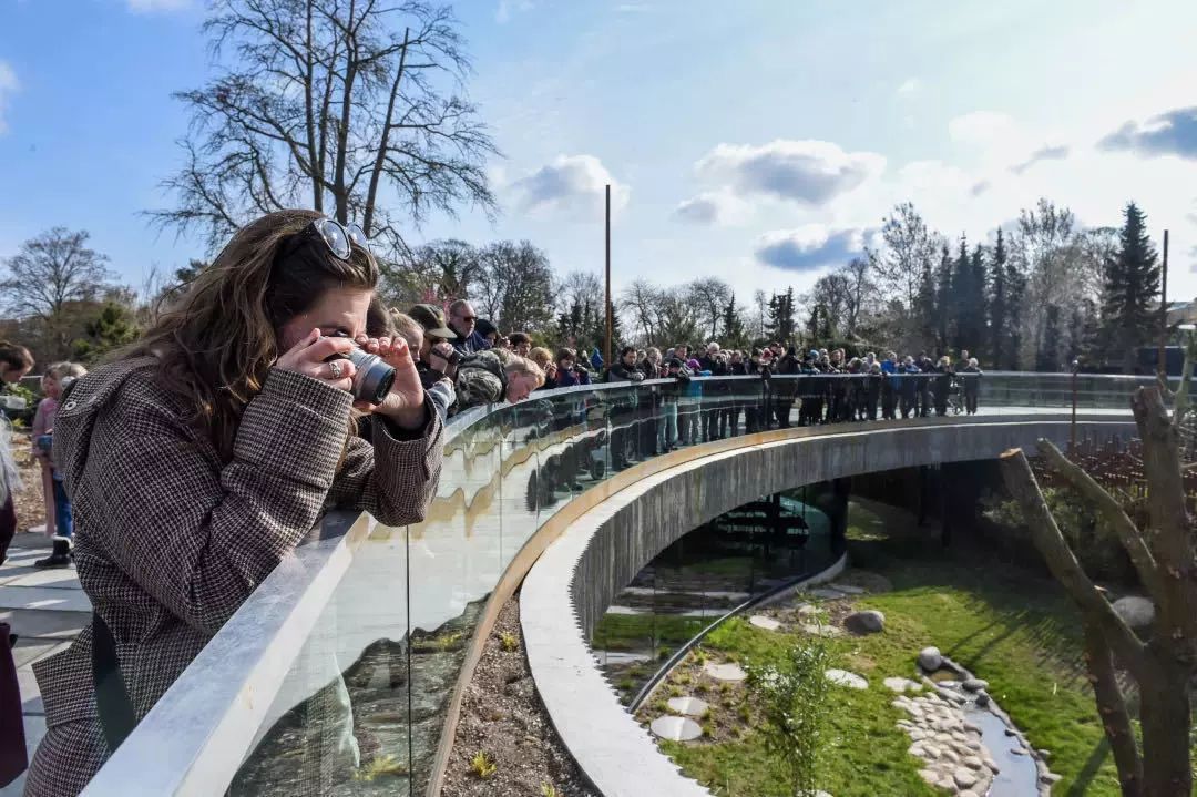 赫尔辛基中央图书馆 | 木质拱形结构的动态空间-67