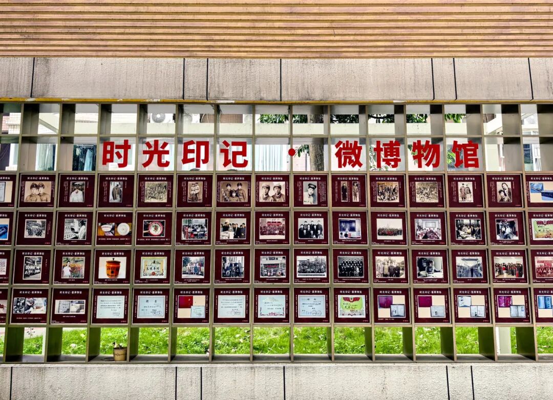 打卡城市“金角银边”丨龙江路十四巷的“时光切片”里藏着社区更新密码-9