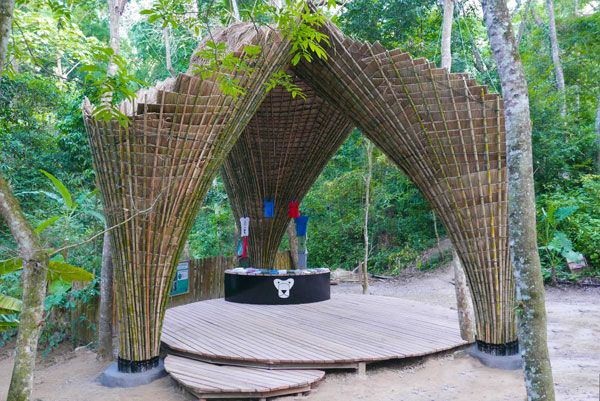 “Free the Bears”竹制新店丨老挝琅勃拉邦丨Atelier COLE-16