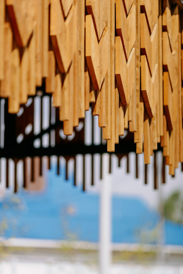 Цветущий берег Мелеуза（繁花似锦的梅列乌兹河岸）丨俄罗斯丨Affinum,巴什基尔城市与乡村发展研究所-67