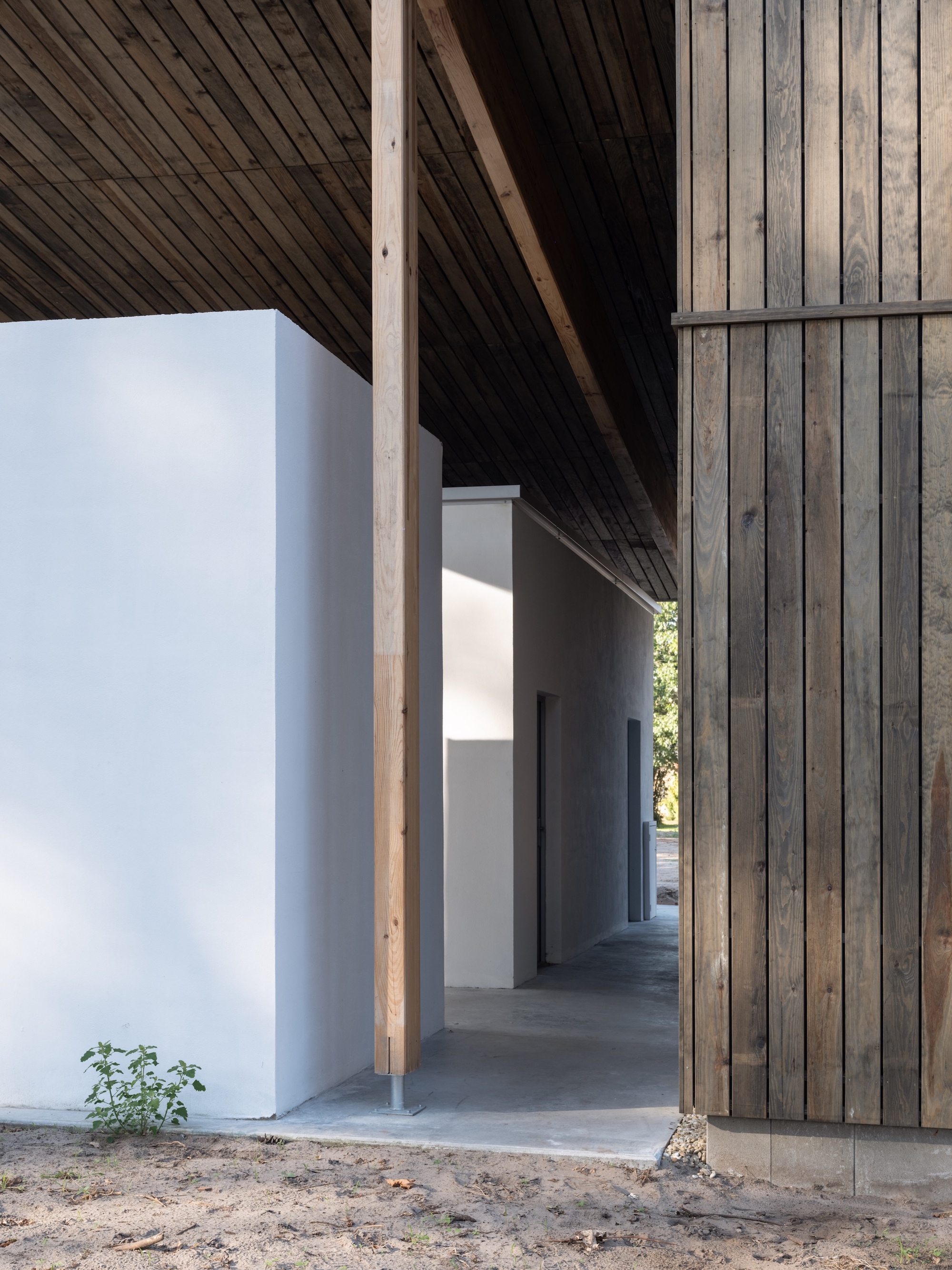 La Pinede Elementary School and Multi-Purpose Hall / ZW/A zweyacker & associés-25