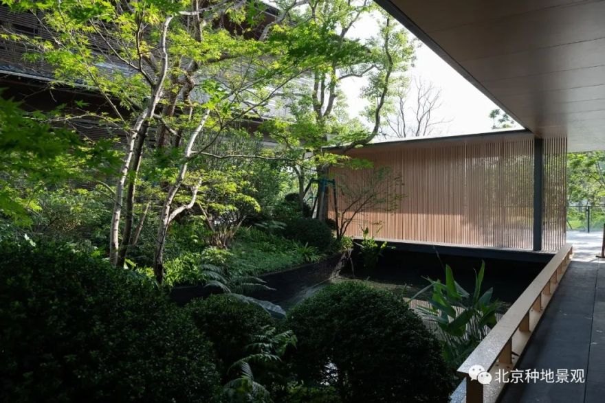 山外山外山外山 | 广州合景月养云来-36