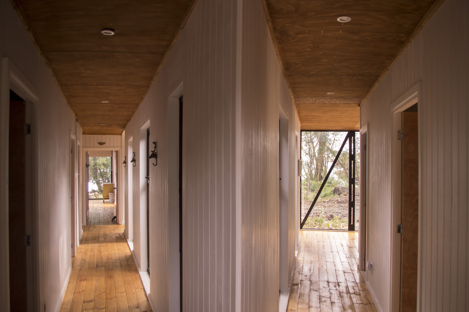 智利森林中的“Corridor House”-35