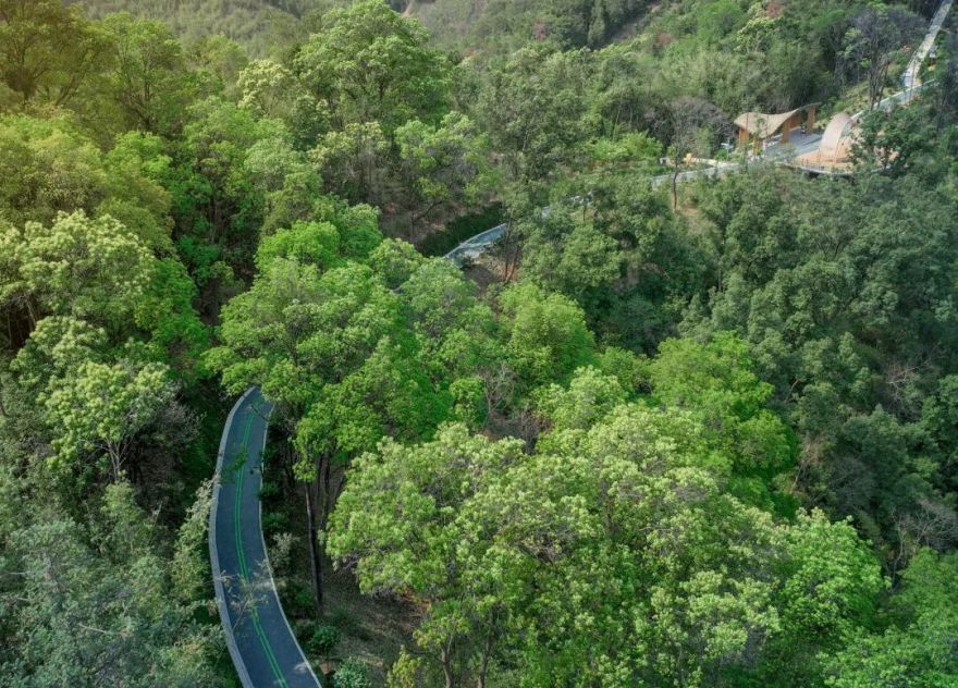 广宁竹海公园|构建绿美竹韵之路-73