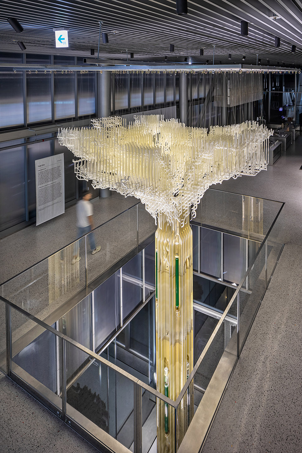 韩国“一号树”光合作用装置丨ecoLogicStudio-8