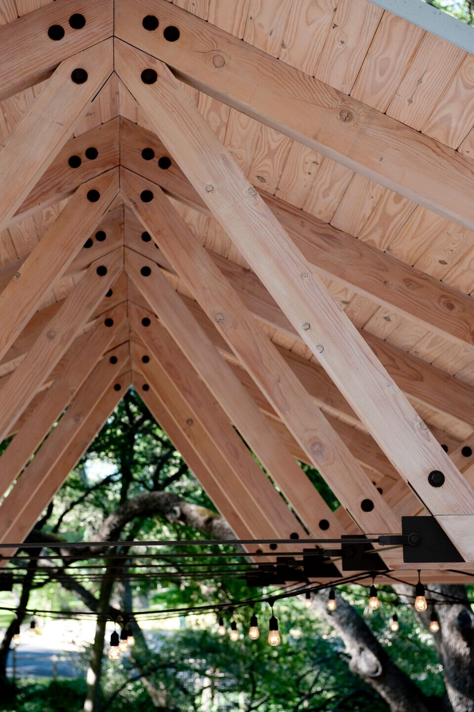 Shepherd 家庭住宅扩建-11