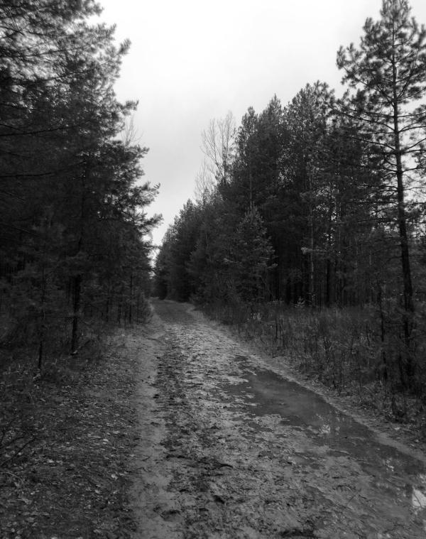 Парк Прибрежный（滨河公园）丨俄罗斯-15