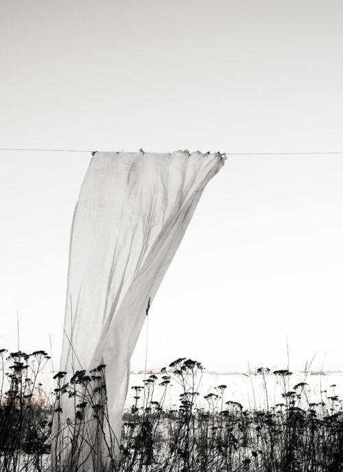 zavese otoka - velvet festival-10