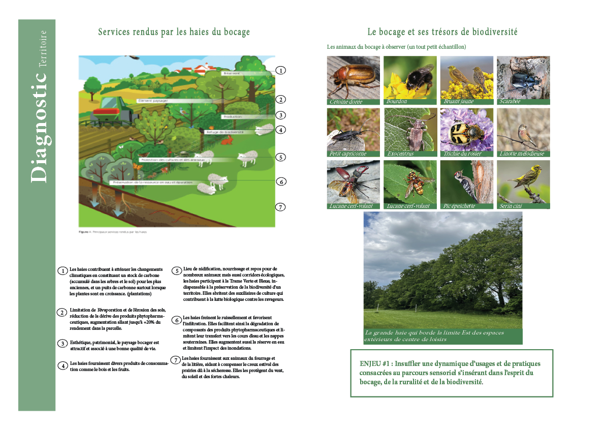 场地的地域与景观分析-8